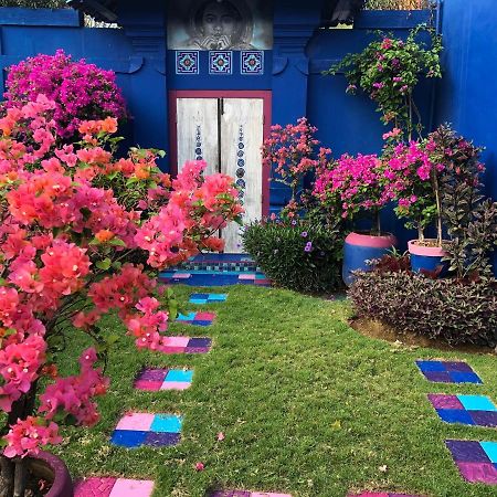 Villa Majorelle Bali Семіньяк Екстер'єр фото